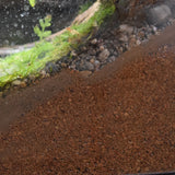 Example of calcined clay substrate in a naturalistic enclosure by BioVivara
